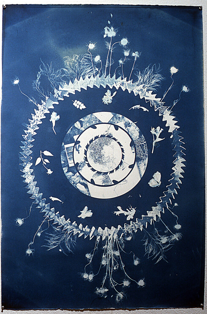 Flora Cyanotype