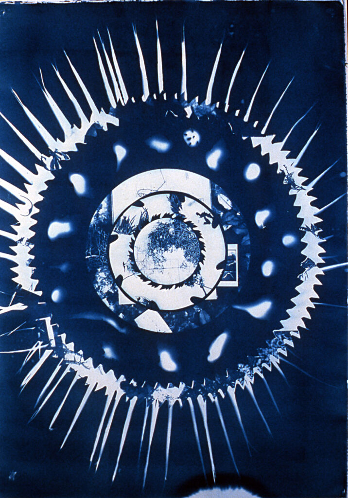 Urchin Cyanotype